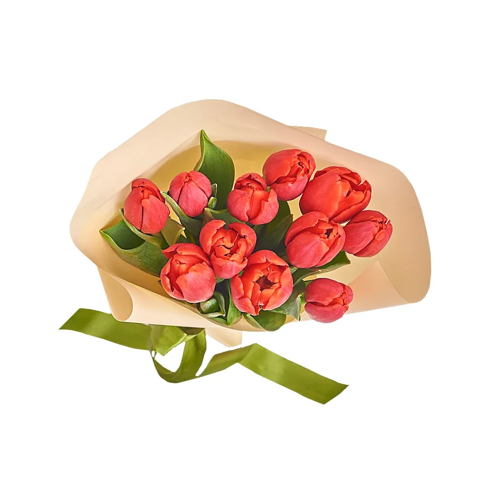 11 красных тюльпанов