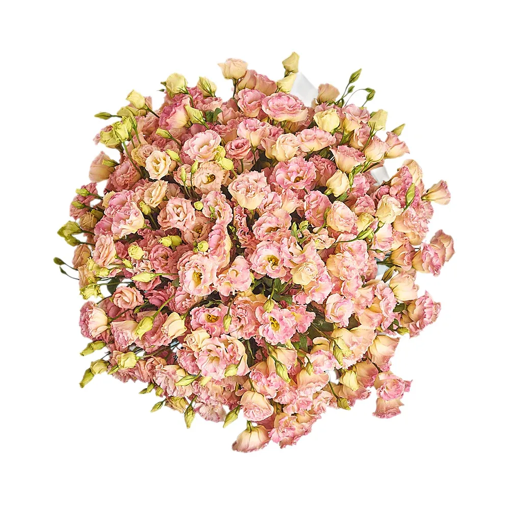 Букет из 101 коралловой эустомы