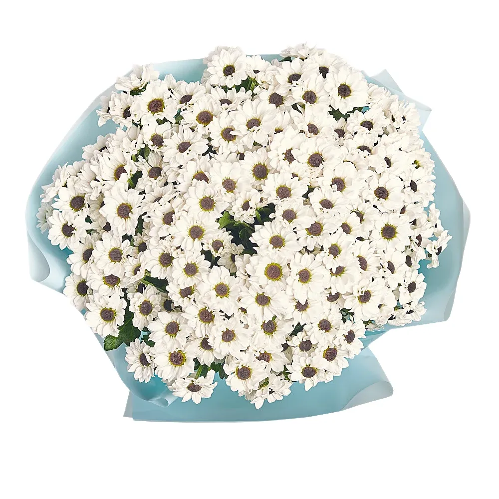 Букет из 25 белых хризантем Сантини