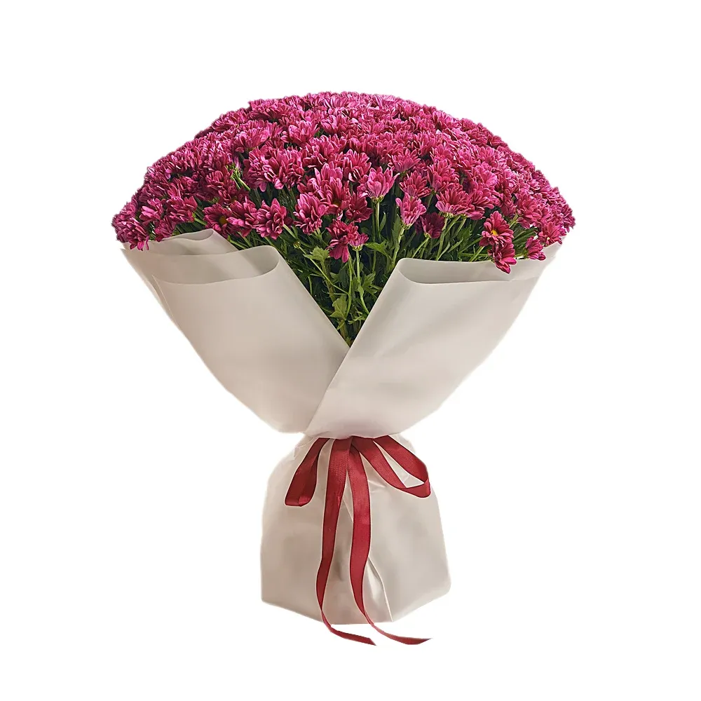Букет из 51 фиолетовой хризантемы