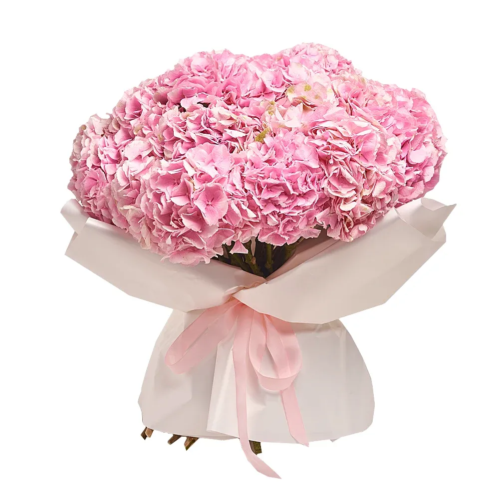 Моно-букет из 25 розовых гортензий